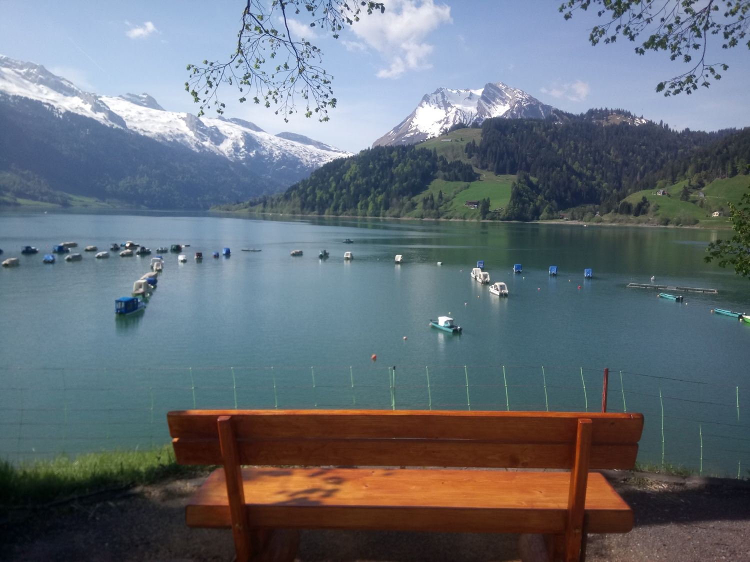 Holzbank mit Blick auf Boote und Berge am Wägitalersee